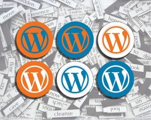 que necesitas saber antes de usar Wordpress